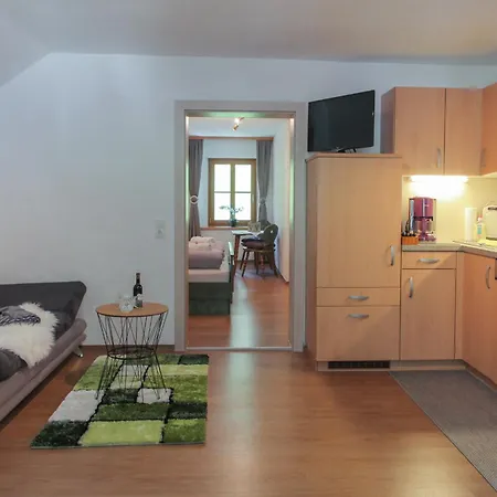 Premsteingut 아파트 *